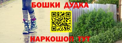 прущие крисы Гай