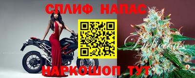спиды Гагарин